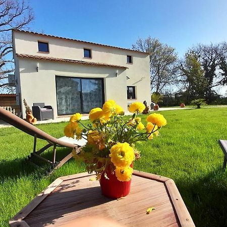 Villa Sandrine, Confortable Et Cosy Proche D'Aix En Provence Meyrargues Eksteriør billede